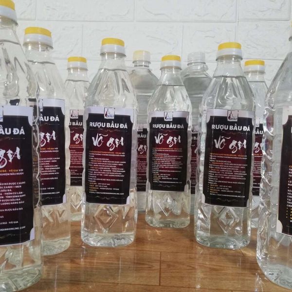 Hình Ảnh Rượu Bầu Đá Bình Định