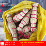 Tré Bình Định