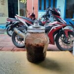 Bình Rượu Ngâm Táo Mèo Thể Tích 3 Lít