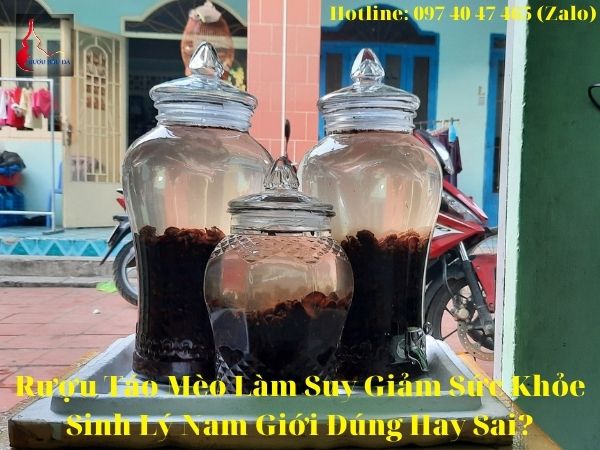 Rượu Táo Mèo Làm Giảm Ham Muốn Ở Nam Giới Đúng Hay Sai?