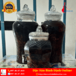 Bình Rượu Táo Mèo Ngâm Sẵn