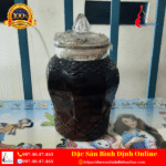 Bình Rượu Táo Mèo Ngâm Sẵn Bình 3 Lít