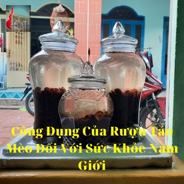 Công Dụng Của Rượu Táo Mèo Đối Với Sức Khỏe Nam Giới