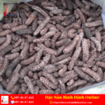 Chuối Hột Rừng Tây Nguyên Khô