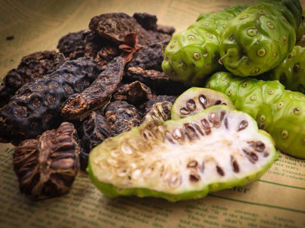 Qua Nhàu Tươi Và Quả Nhàu Khô