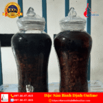 Bình Rượu Táo Mèo Ngâm Sẵn Bình 6L