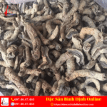 Củ Ba Kích Khô Dùng Để Ngâm Rượu