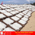 Bún Song Thằn Bình Định