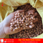 Bán Dầu Đậu Phộng Nguyên Chất Chất Lượng