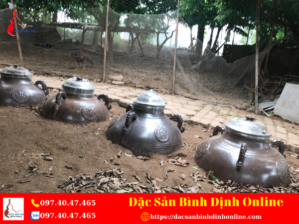 Hạ Thổ Rượu Nếp Có Tác Dụng Gì?