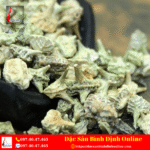 Mua Bạch Tật Lê