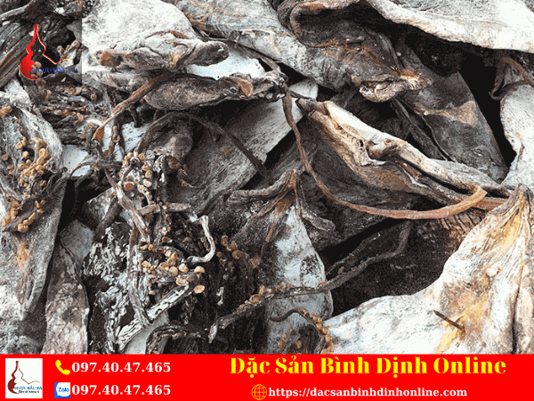 Nguyên Nhân Làm Cho Mực Khô Bị Mốc Là Gì?