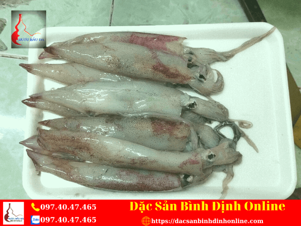 Mực Tươi - Mực Câu
