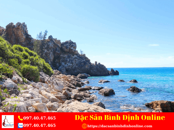 Mũi Vi Rồng Bình Định - Một Điểm Du Lịch Trải Nghiệm Thu Hút Nhiều Du Khách